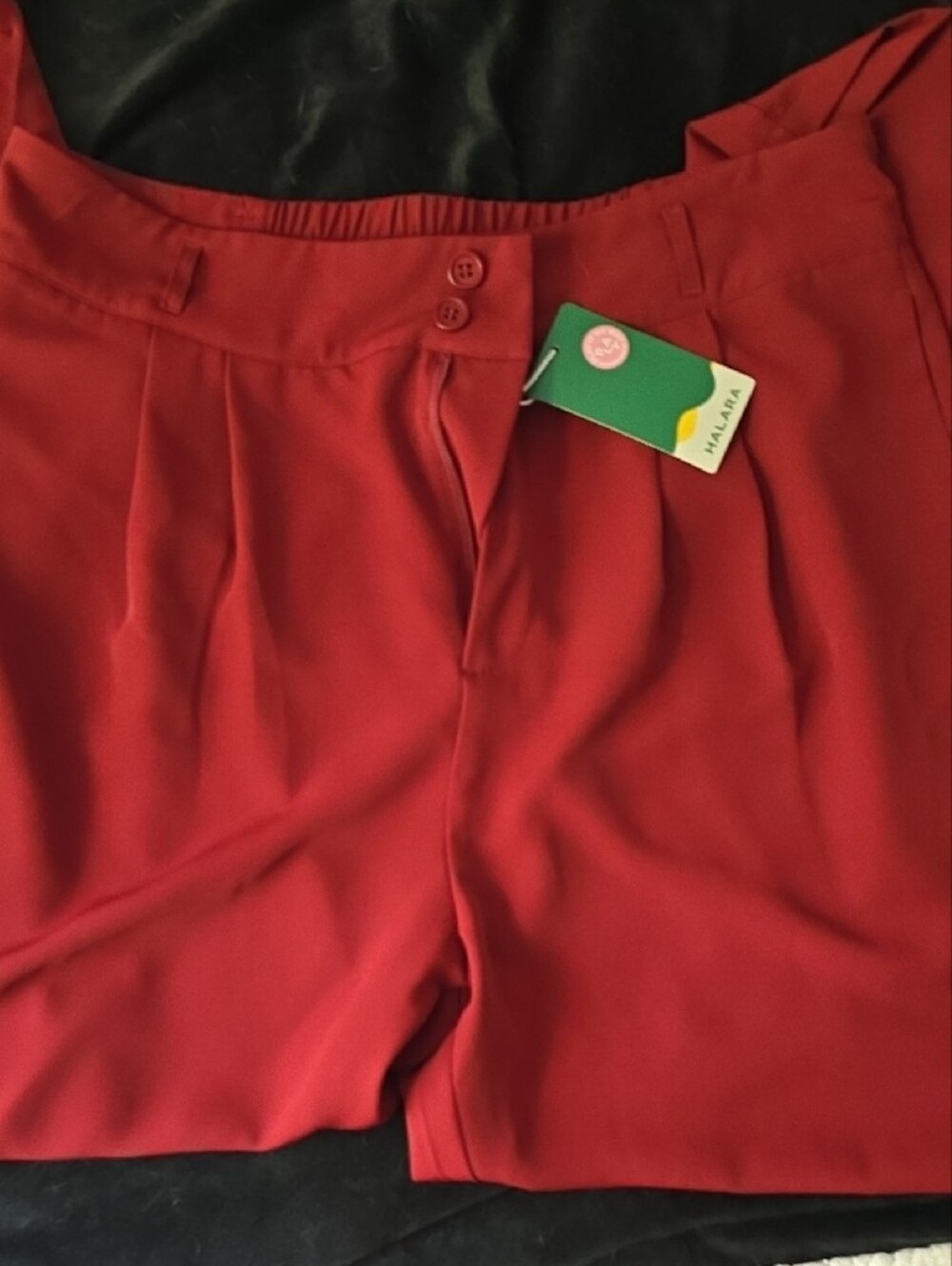 HALARA Red Wide-Leg Pants - Picture 3 of 5
